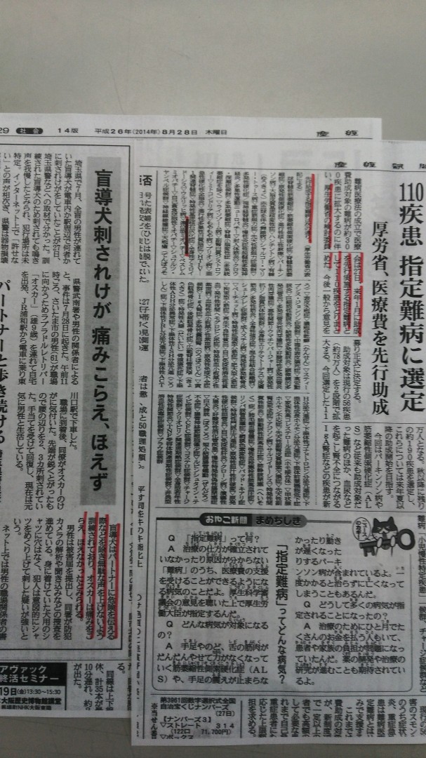 [画像]メインイメージ