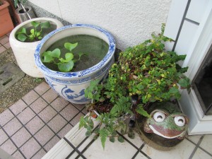 [画像]メインイメージ