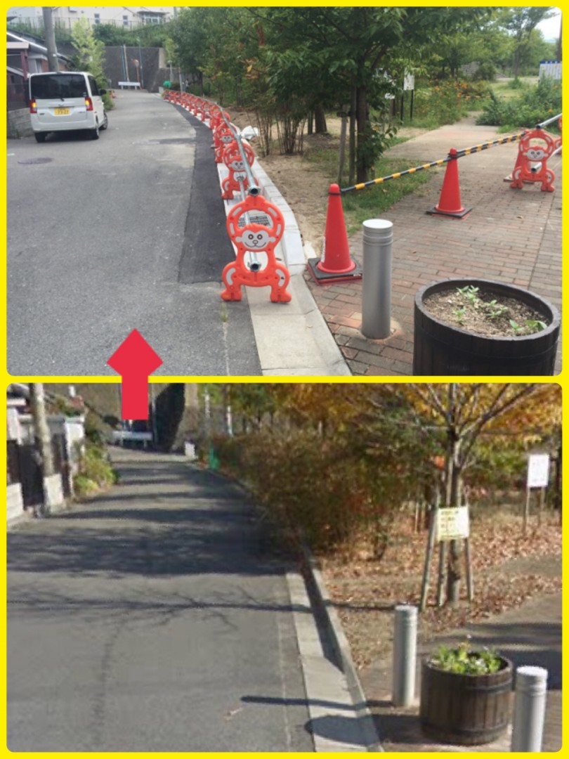 [画像]メインイメージ