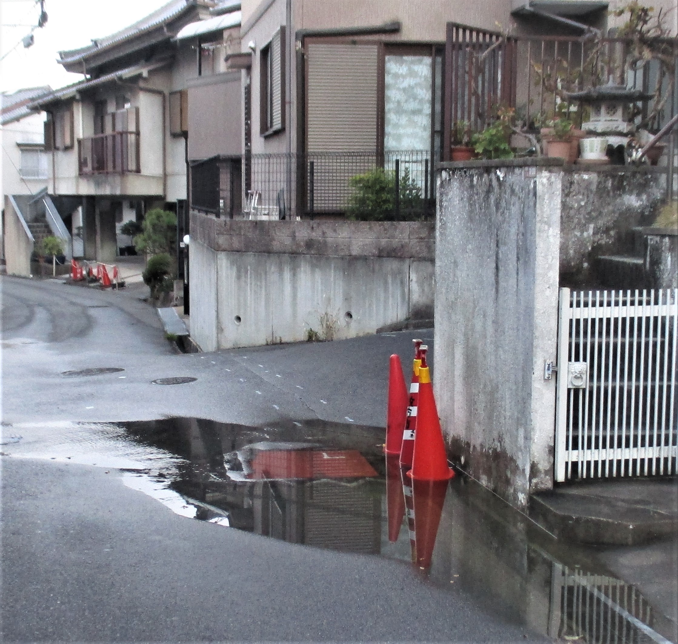 [画像]メインイメージ