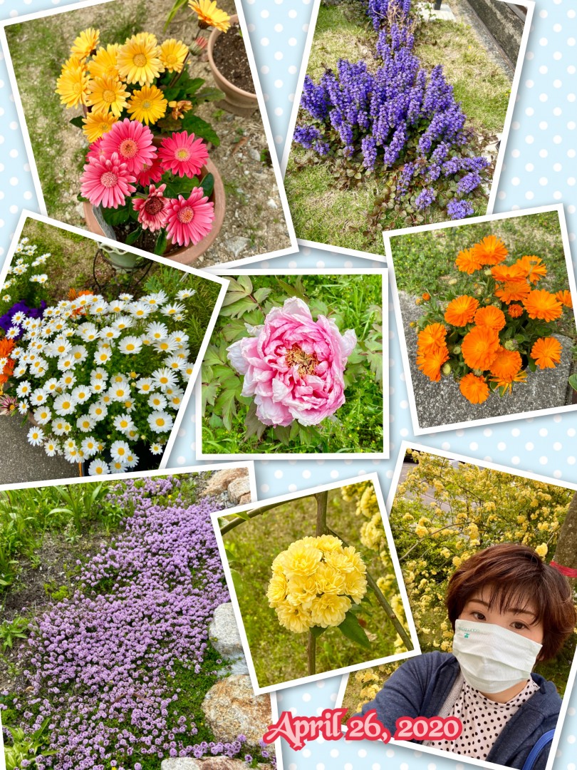 [画像]メインイメージ