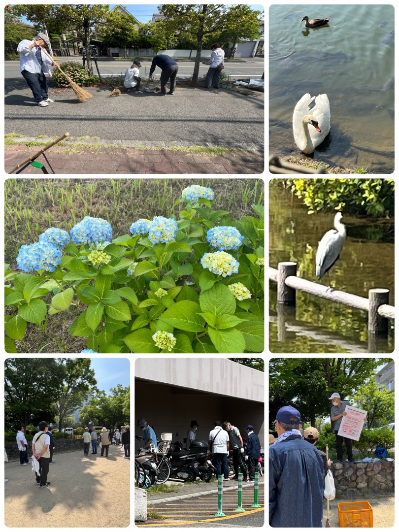 [画像]メインイメージ