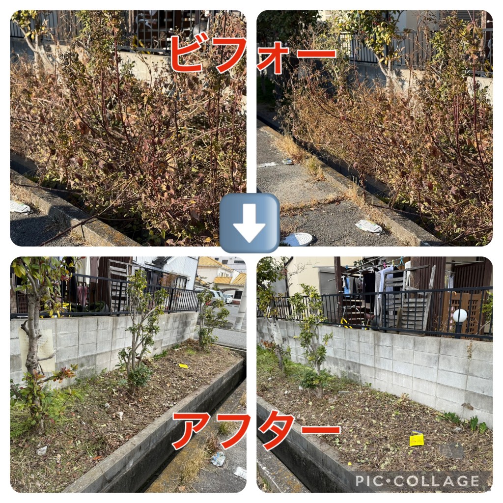 [画像]メインイメージ