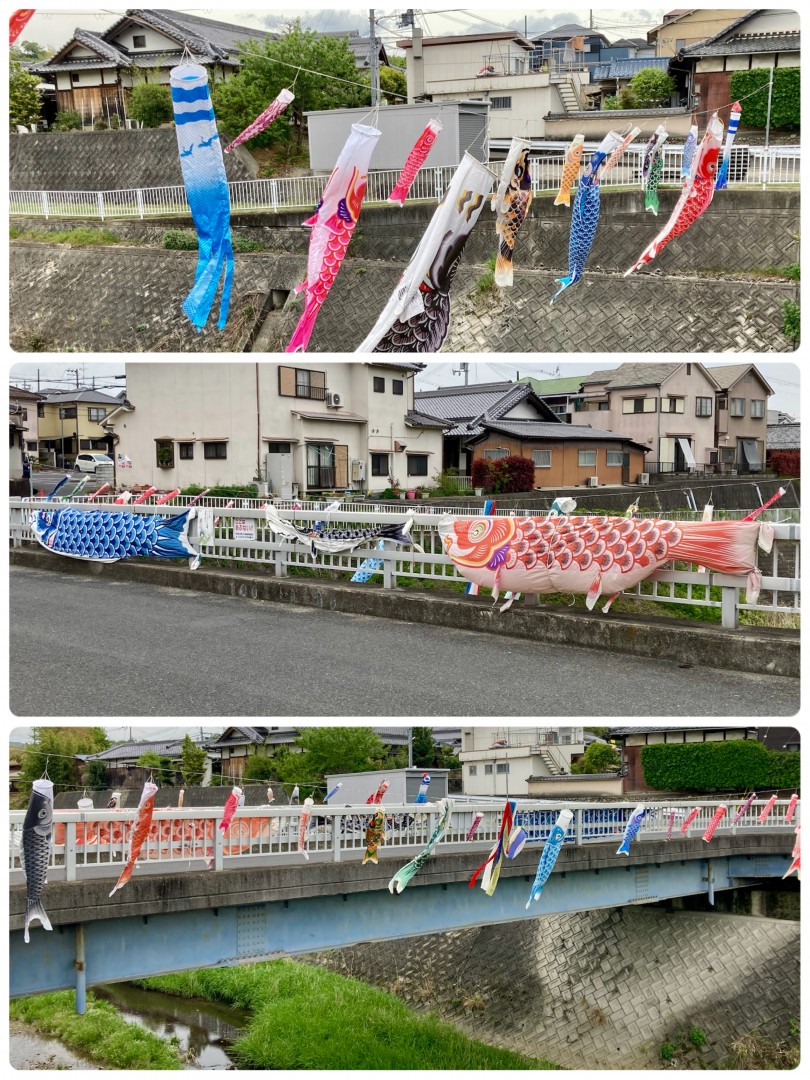 [画像]メインイメージ