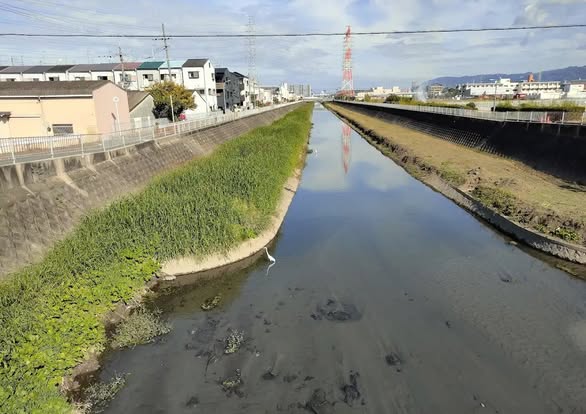 [画像]メインイメージ
