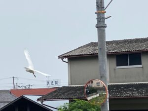 [画像]メインイメージ