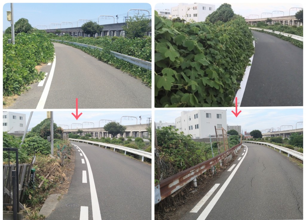 [画像]メインイメージ