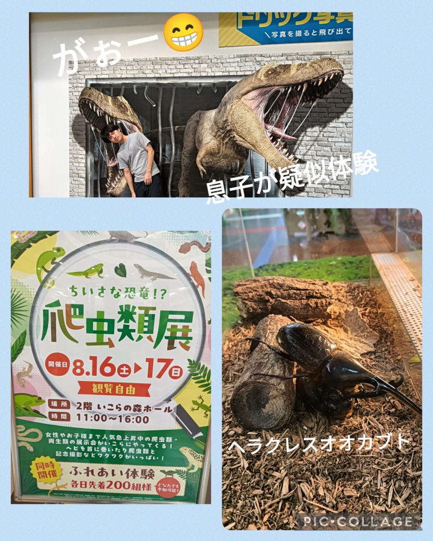 [画像]メインイメージ