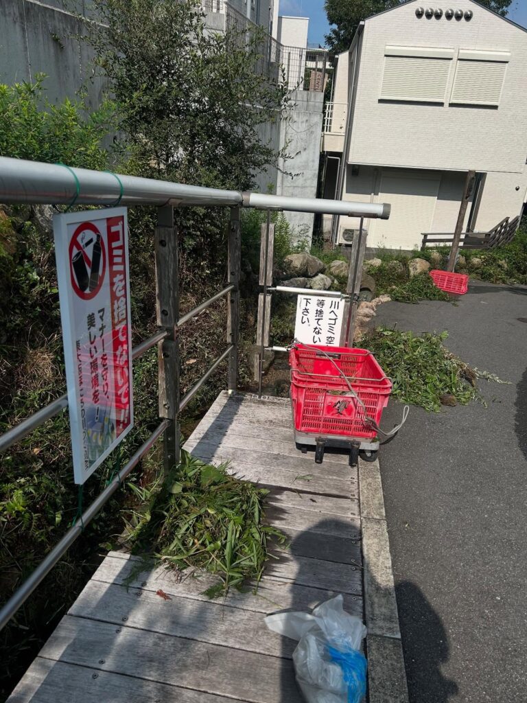 [画像]メインイメージ