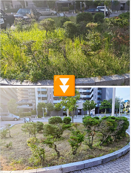 [画像]メインイメージ