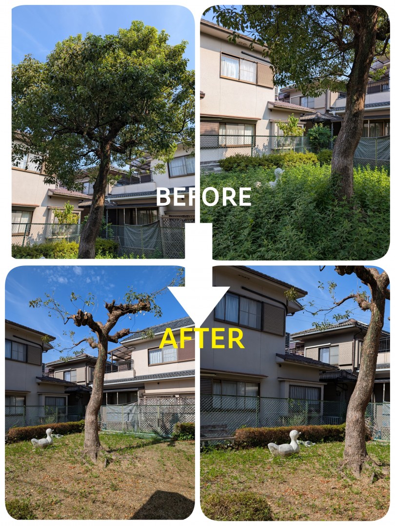 [画像]メインイメージ
