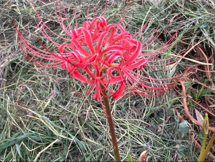 [画像]メインイメージ