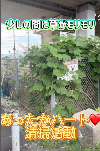 [画像]メインイメージ