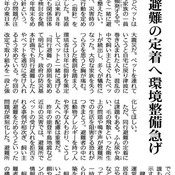 [画像]メインイメージ