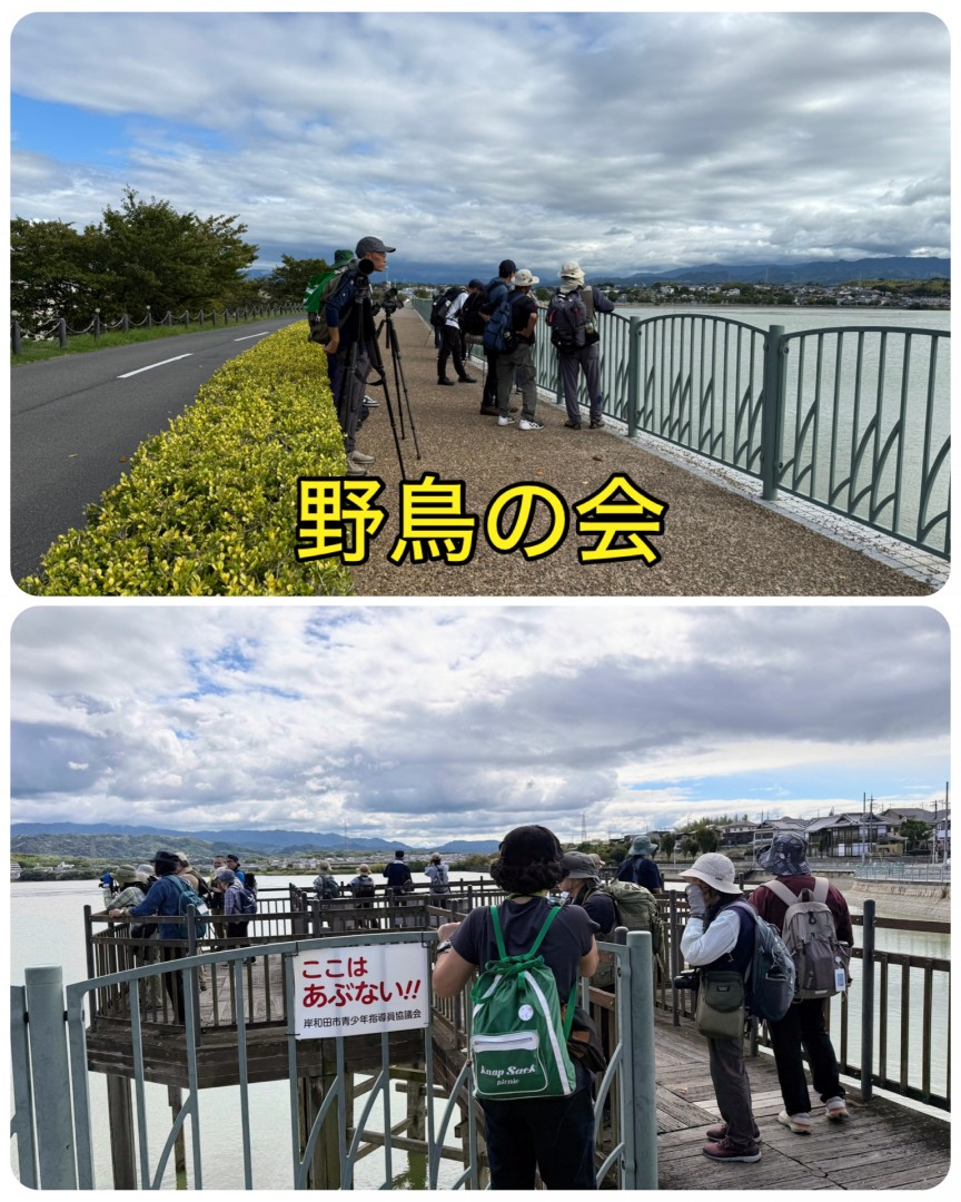 [画像]メインイメージ