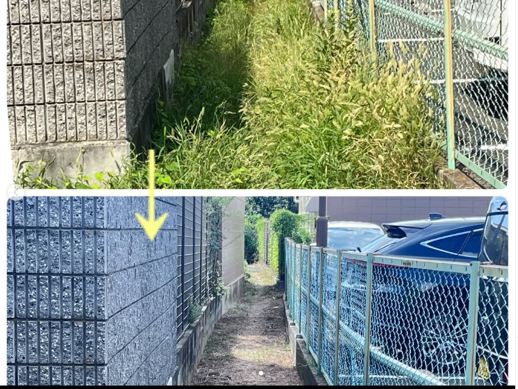 [画像]メインイメージ