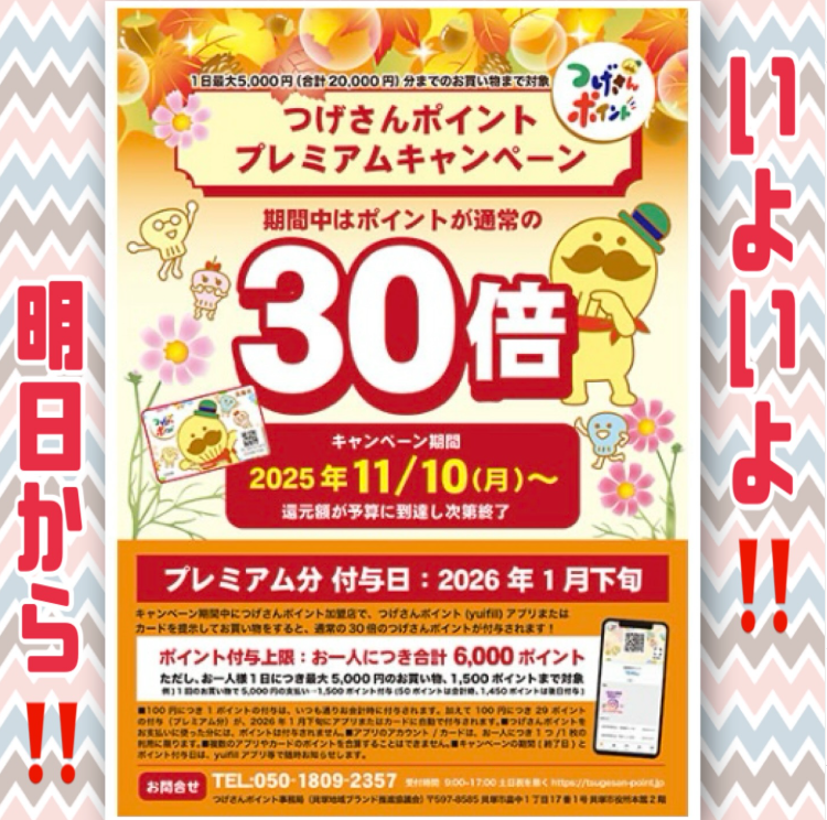 [画像]メインイメージ