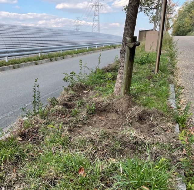 [画像]メインイメージ