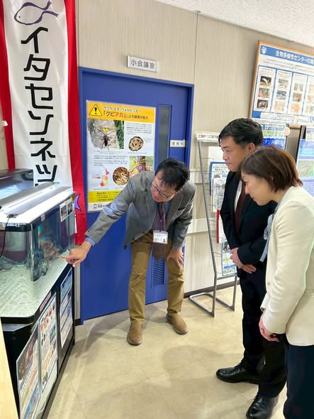 [画像]メインイメージ