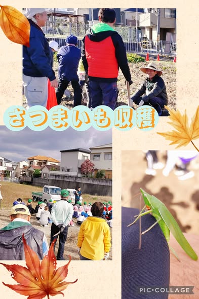 [画像]メインイメージ