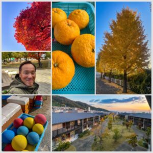 [画像]メインイメージ