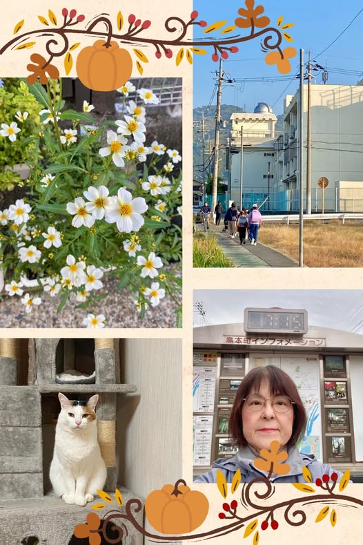 [画像]メインイメージ