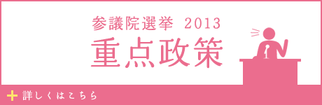 参議院選挙 2013 重点政策