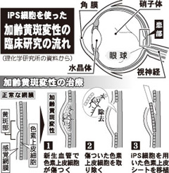 [画像]メインイメージ