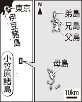 [画像]メインイメージ