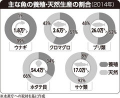 [画像]メインイメージ