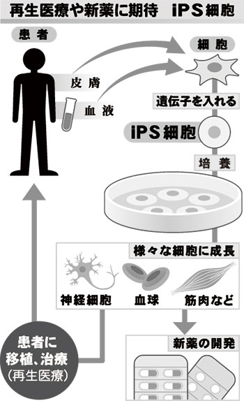 [画像]メインイメージ