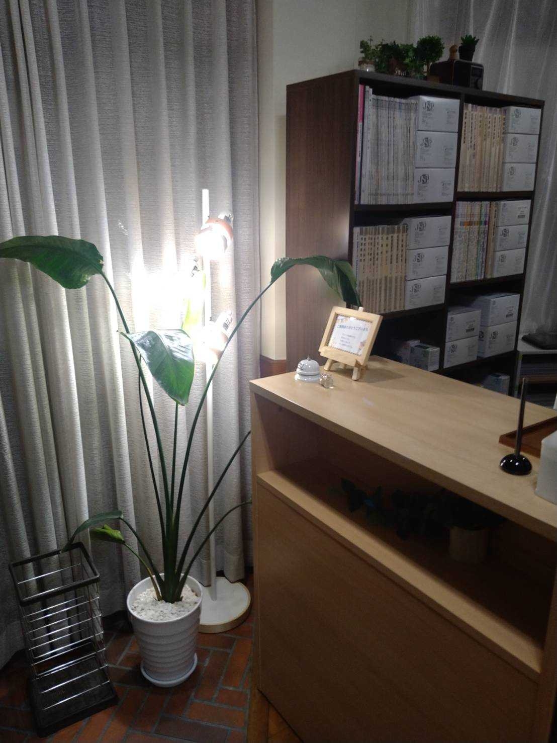 いたかの鍼灸整骨院1.jpg