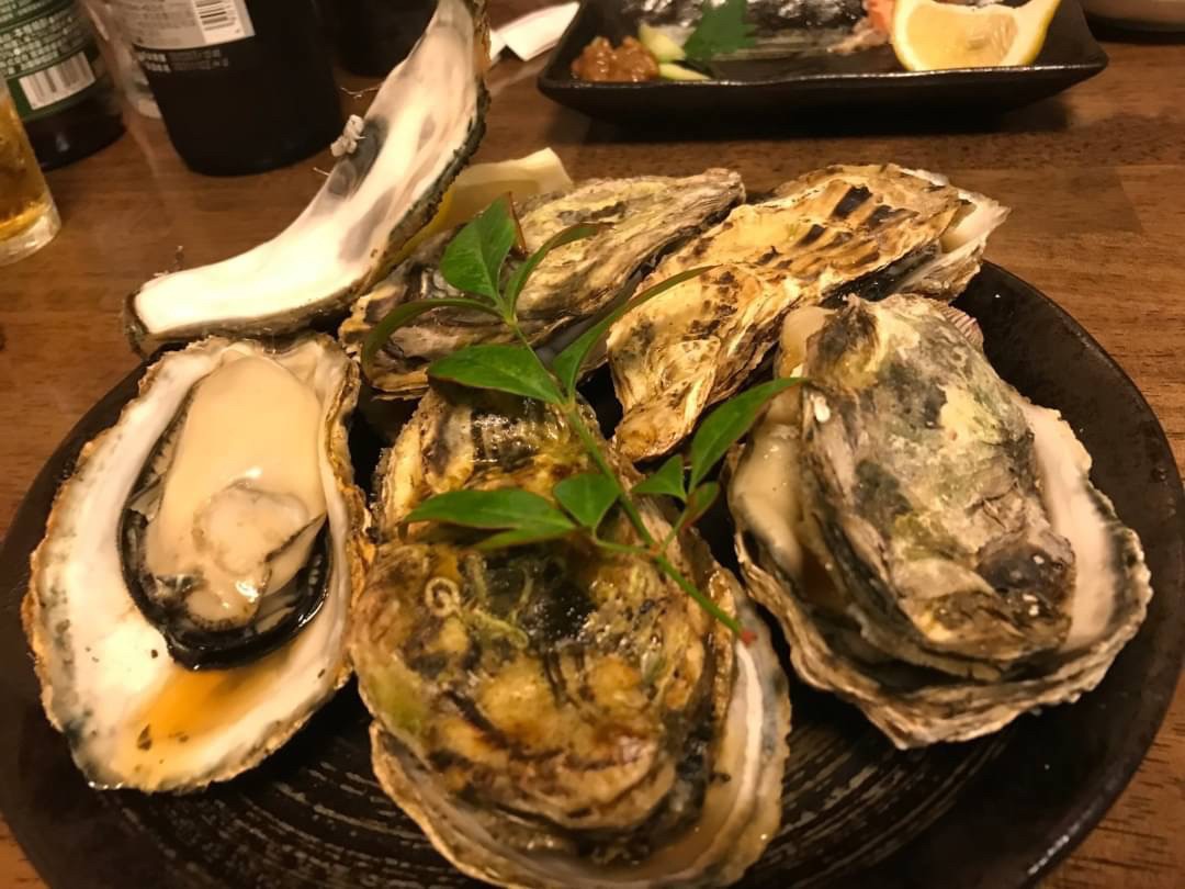 阿蘇3.jpg
