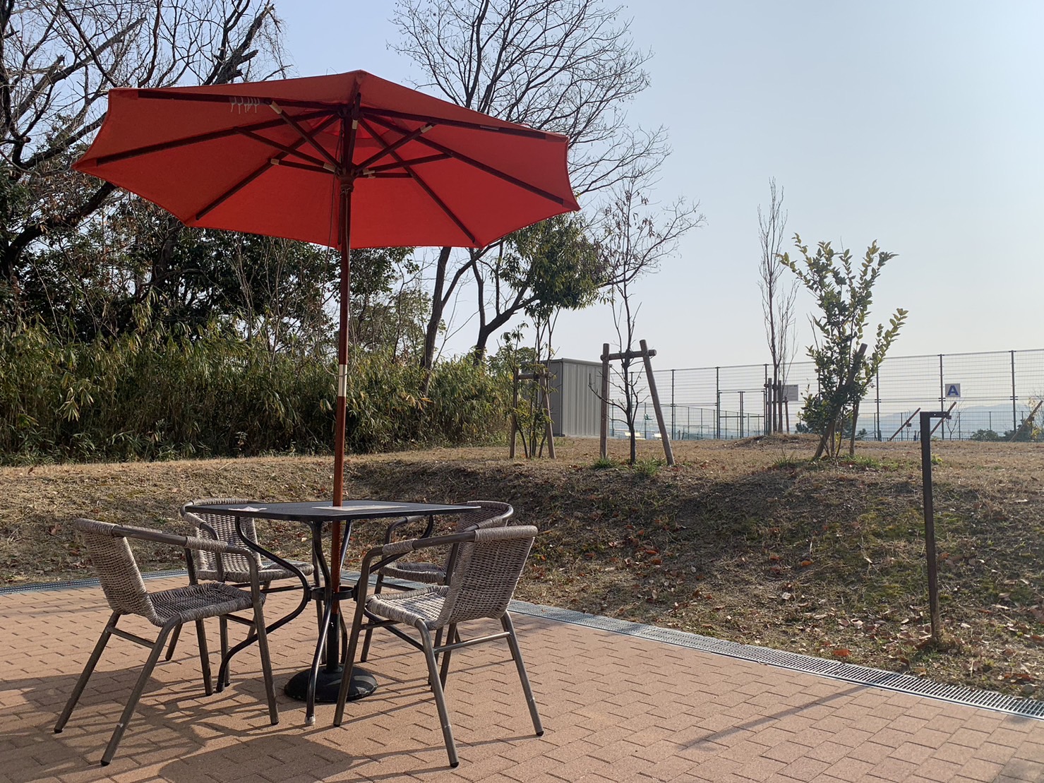 みわ　cafe of the park2.jpg