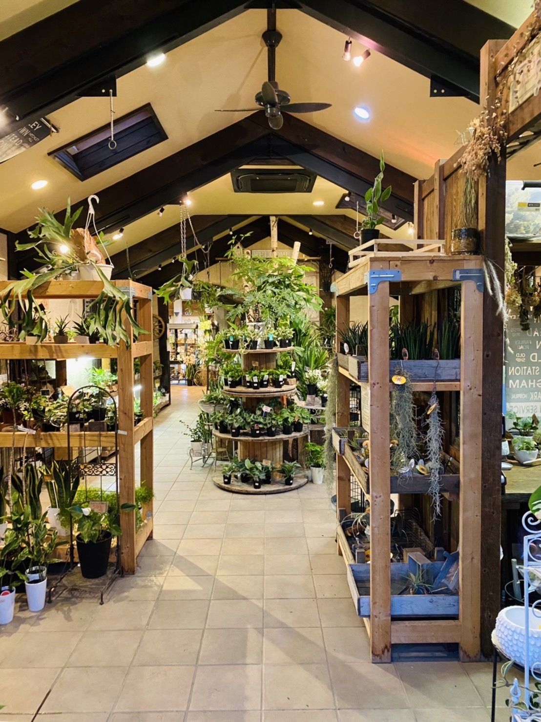Flower Shop LOBELIA ロベリア3.jpg