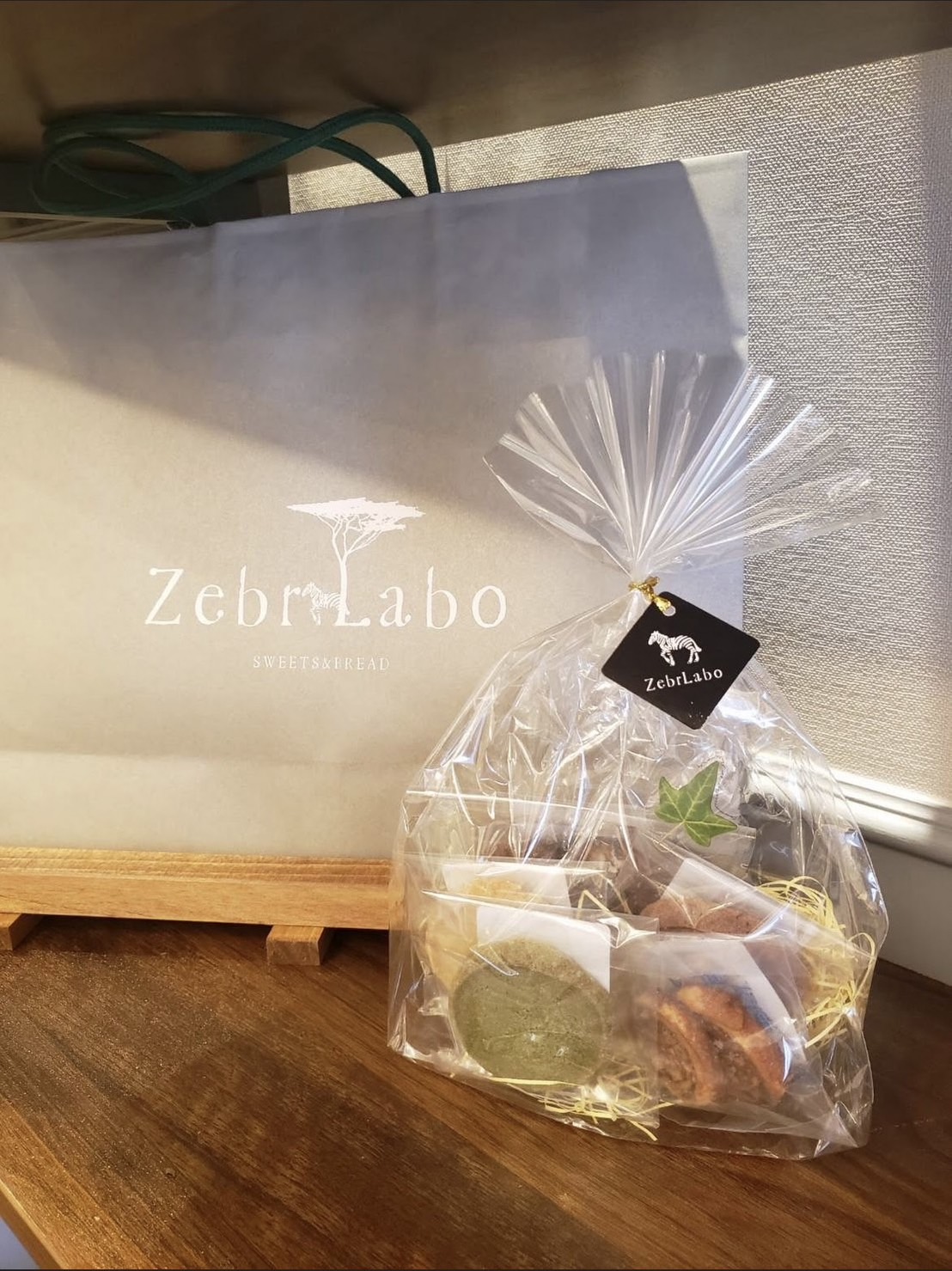ZebrLabo ゼブラボ3.jpg