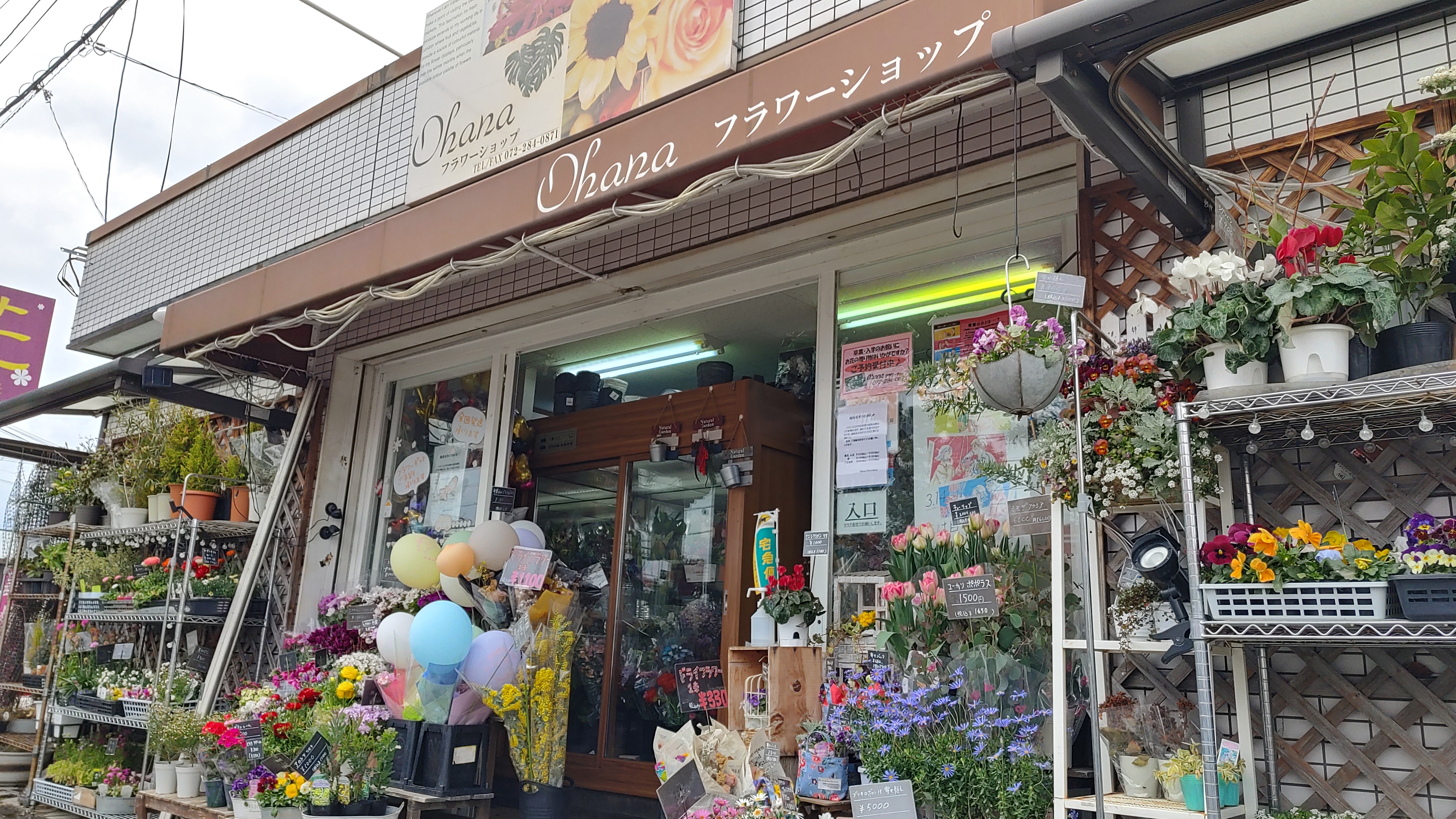 Ohanaya Hiiragi 美木多上店3.jpg