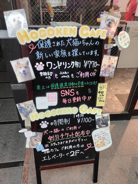 保護犬カフェ　鶴橋店1.jpeg